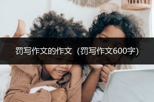 罚写作文的作文（罚写作文600字）