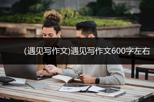 （遇见写作文)遇见写作文600字左右